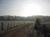 Par un matin d'hiver