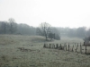 Le paysage vallonné percheron