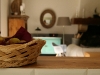 Cuisine ouverte sur le salon